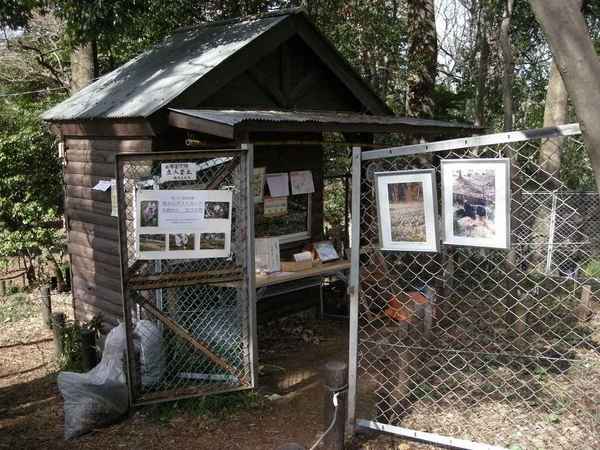 1565清水山憩いの森の小屋.jpg