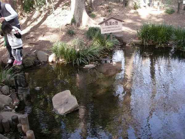 1570鳥楽の池.jpg