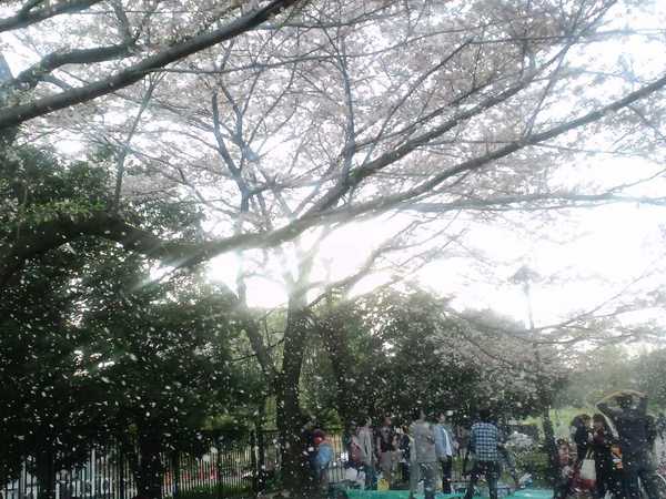 CA3C0041.jpg