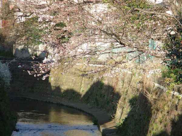 DSCF0209.jpg