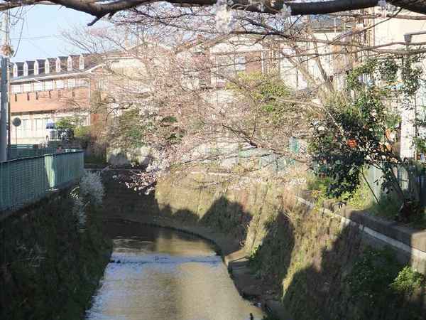 DSCF0212.jpg