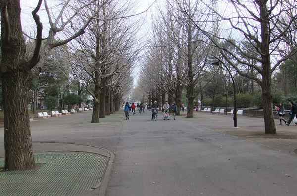 DSCF0280.jpg