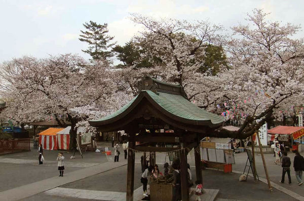 DSCF0398.jpg
