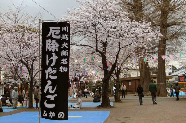 DSCF0407.jpg