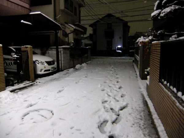 DSCF2440.jpg