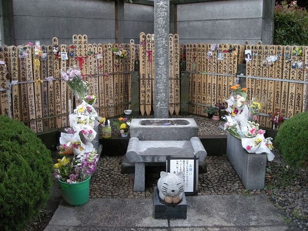 DSCN1109.jpg