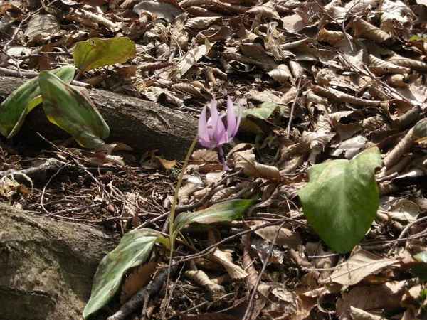 DSCN1519.jpg