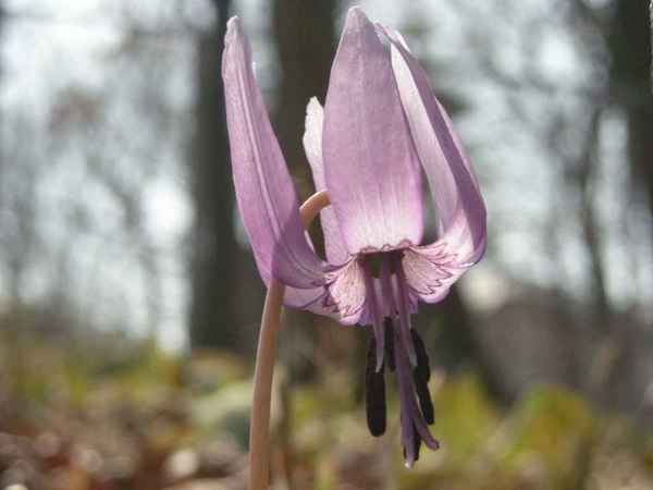 DSCN1530.jpg