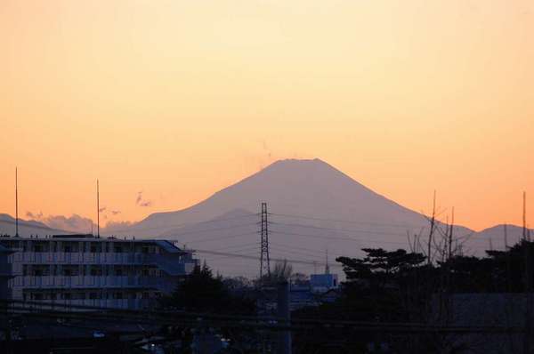 DSC_1211.jpg