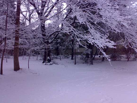 大雪1