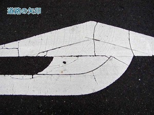 03hibiware.jpg