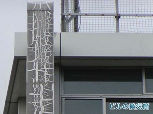 05hibiware.jpg