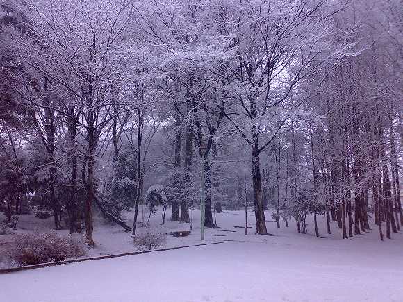 大雪2