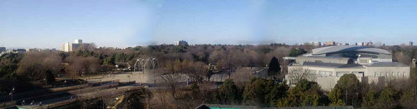 光が丘公園パノラマ2.jpg