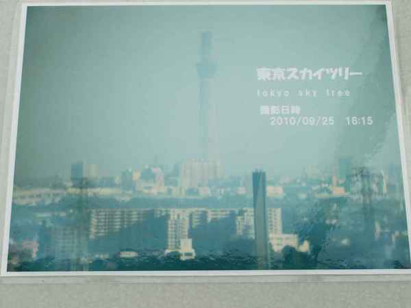 DSCF2260.jpg
