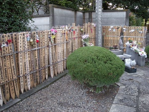 DSCN1110.jpg