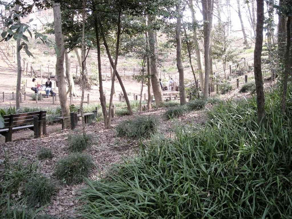 DSCN1515明るく.jpg