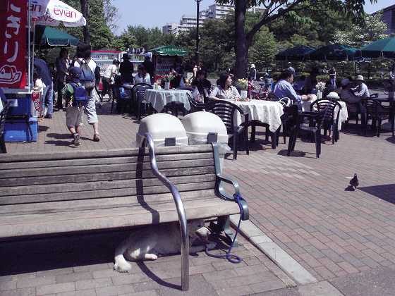 売店