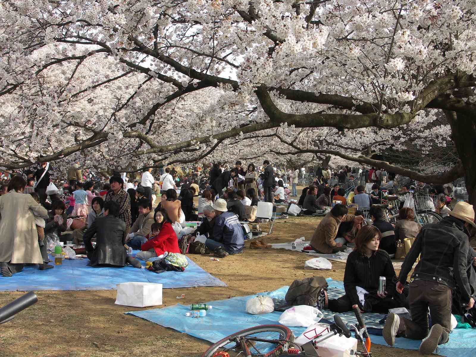 光が丘公園