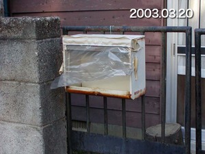 kyohi01.jpg